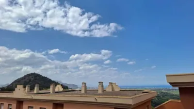 Apartment in Pedreguer photo 39