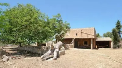 Rustic Finca in Sa Casa Blanca photo 19