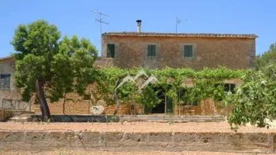 Rustic Finca in Sa Casa Blanca photo 4