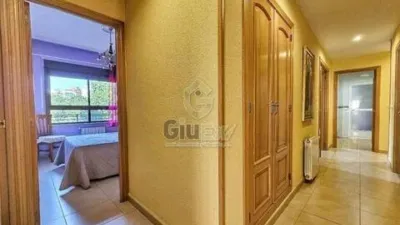 Apartment in Cáceres Capital photo 22
