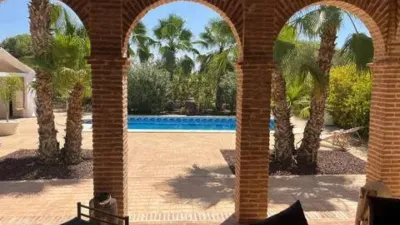 Casa – Elx - Elche - Vista 2