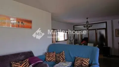 Apartment in Santa Margalida photo 20