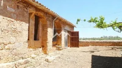 Rustic Finca in Sa Casa Blanca photo 16