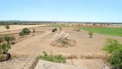 Rustic Finca in Sa Casa Blanca photo 24
