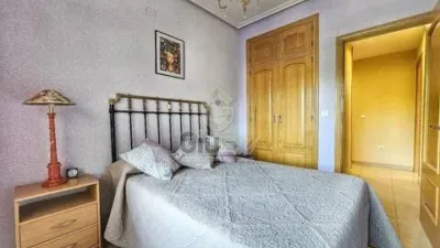 Apartment in Cáceres Capital photo 23