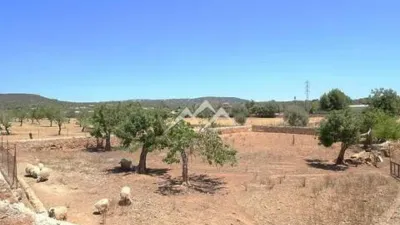Rustic Finca in Sa Casa Blanca photo 13