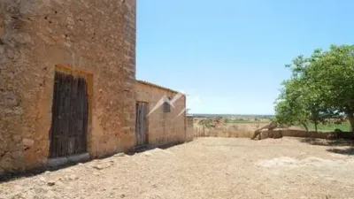 Rustic Finca in Sa Casa Blanca photo 18