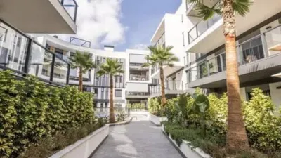 Apartment on Avinguda Trenc d'Alba photo 3