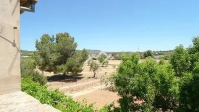 Rustic Finca in Sa Casa Blanca photo 22