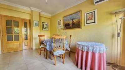 Apartment in Cáceres Capital photo 10