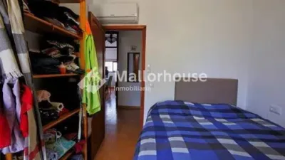 Apartment in Santa Margalida photo 8