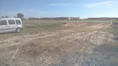Terreno en venta en Catral - Vista 3
