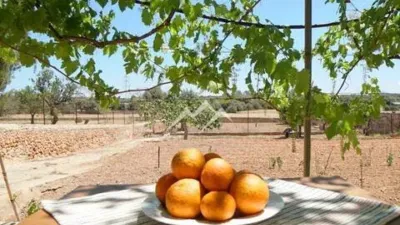 Rustic Finca in Sa Casa Blanca photo 6