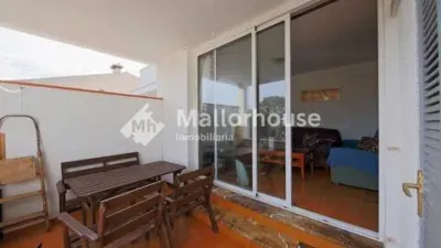 Apartment in Santa Margalida photo 22