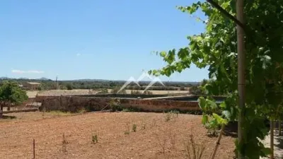 Rustic Finca in Sa Casa Blanca photo 12