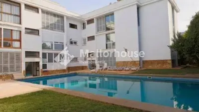 Apartment in Santa Margalida photo 30