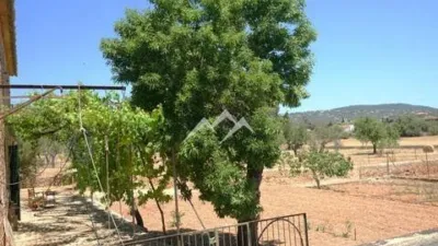 Rustic Finca in Sa Casa Blanca photo 20