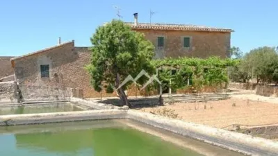 Rustic Finca in Sa Casa Blanca photo 10