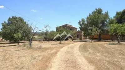 Rustic Finca in Sa Casa Blanca photo 26