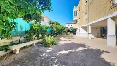 Apartment in Punta Calera photo 48