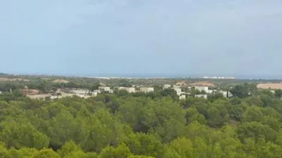 Apartment in Orihuela photo 42
