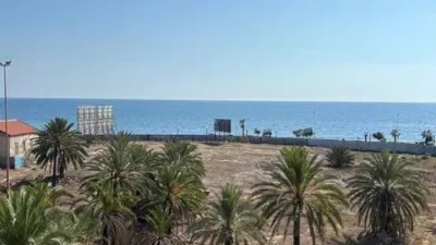 Apartment in Playa del Cura photo 15
