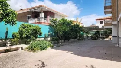 Apartment in Punta Calera photo 33