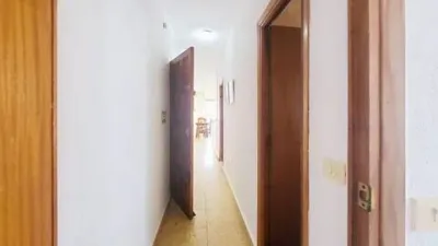 Apartment in Punta Calera photo 28