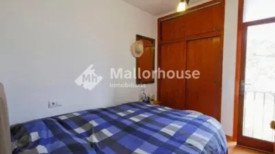 Apartment in Santa Margalida photo 7