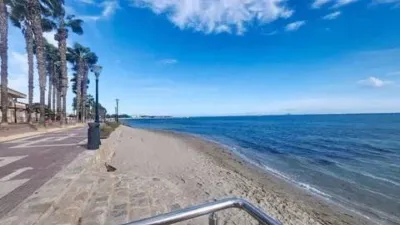 Apartment in Punta Calera photo 4
