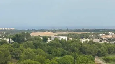 Apartment in Orihuela photo 46