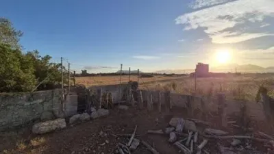 Rustic house in Muro photo 2