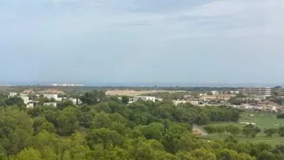 Apartment in Orihuela photo 43