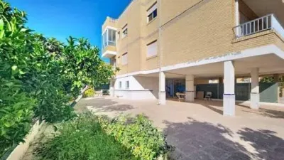Apartment in Punta Calera photo 45
