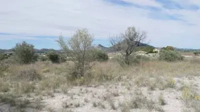 Terreno en venta en Sax - Més
