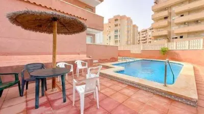 Pis – Elche, l'Altet - Vista 2