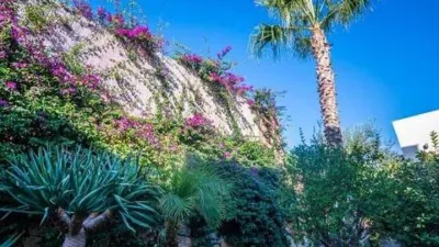 Chalet en Algorfa photo 16