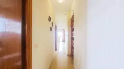 Apartment in Punta Calera photo 21