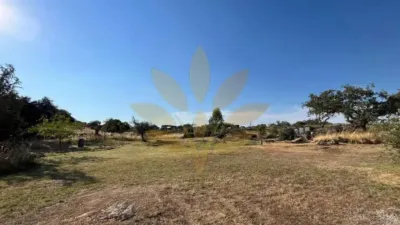 Chalet in Arroyo de La Luz photo 8