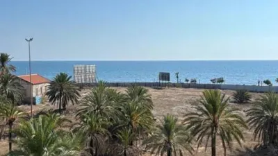 Apartment in Playa del Cura photo 17