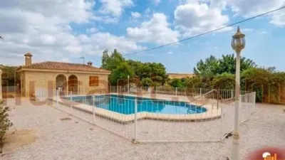 Chalet in Mutxamel photo 5