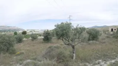 Terreno en venta en Sax - Vista 4