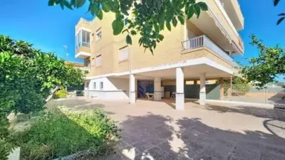 Apartment in Punta Calera photo 47