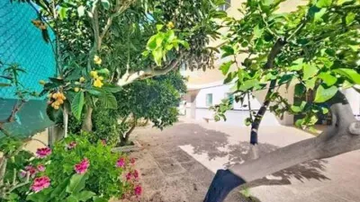 Apartment in Punta Calera photo 50