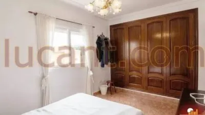 Chalet in Mutxamel photo 23