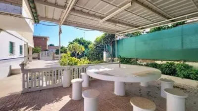 Apartment in Punta Calera photo 43