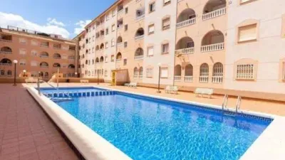 Apartment on San Pascual Street photo 33