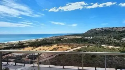 Piso – Elche, Urbanització Els Arenals del Sol - Vista 2