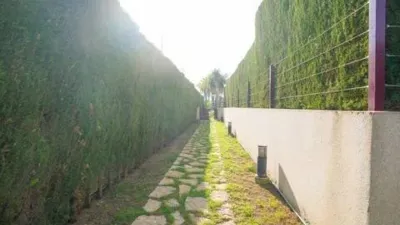 Apartment in Orihuela photo 24