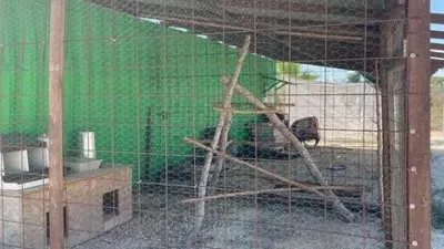 Rustic house in Matola-La Foia-Las Bayas-La Marina photo 16